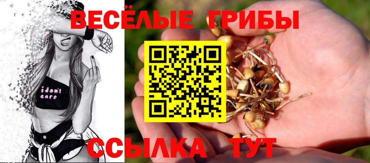 Галлюциногенные грибы MAGIC MUSHROOMS  наркошоп  Димитровград  Галлюциногенные грибы мицелий  Вход с VPN 