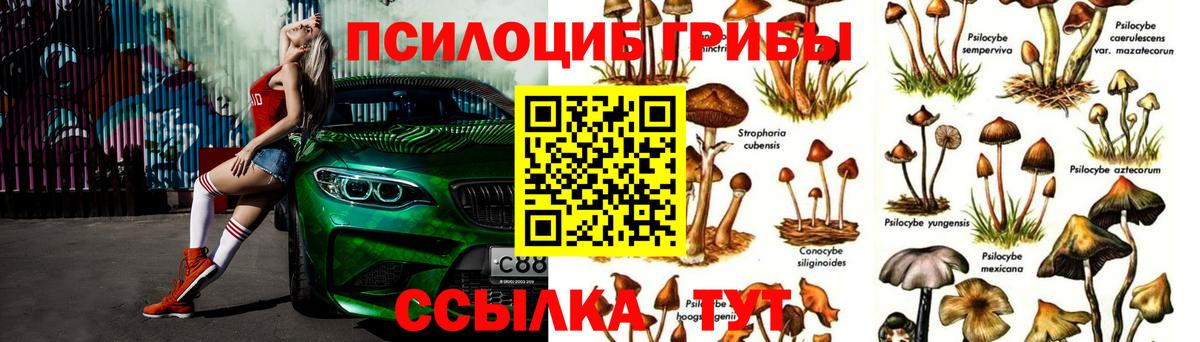 Галлюциногенные грибы GOLDEN TEACHER Димитровград